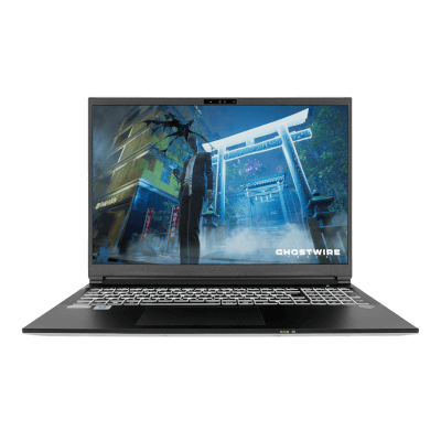 Turing IX I16B Business Laptop