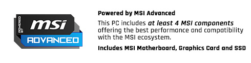 MSI Advanced